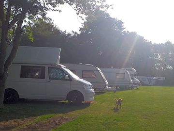 Early morning on the campsite (added by visitor 05 aug 2021)