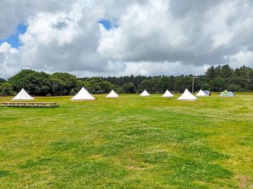 Bell tent field (added by manager 01 sep 2022)