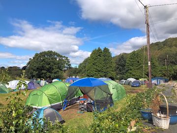 Pitches at the campsite (added by manager 04 sep 2020)