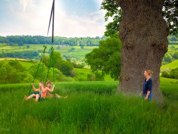 Tree swing (added by manager 18 dec 2021)