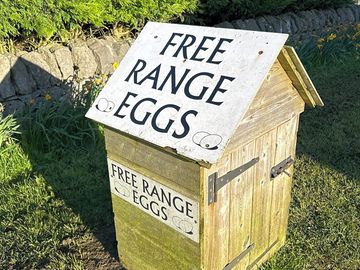Free-range eggs available on site (added by manager 17 apr 2024)