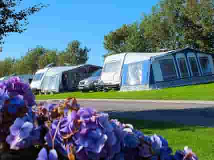 Grass pitch with room for your awning and car