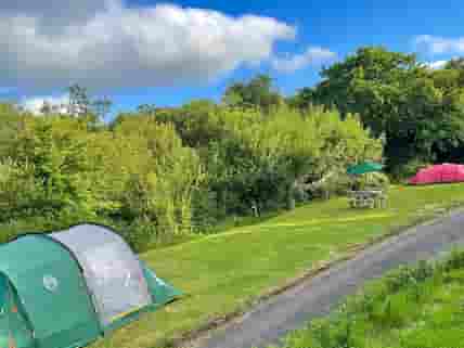 The grass tent pitches