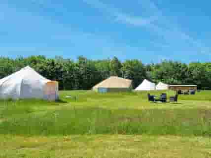 Long meadow grass and wildflowers separating the tents
