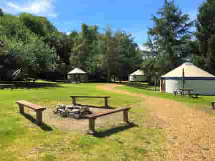 Large yurts in woodland village (added by manager 22 Mar 2018)