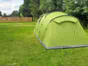 Our tent pitch in Jillys Glade (added by hannah_c691450 17 Aug 2021)