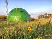 Dome in the meadow (added by manager 28 Sep 2022)