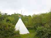 Tipi on the private site, plenty of privacy (added by manager 22 Apr 2015)