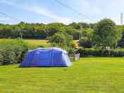 Grass tent pitch (added by manager 27 Sep 2022)