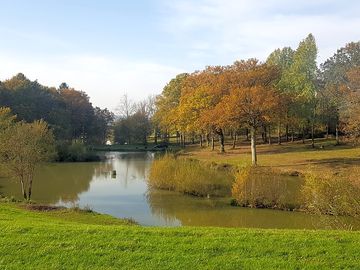 Autumn at the lake (added by manager 31 Dec 2020)