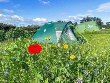 Flat and well-maintained camping pitches.
