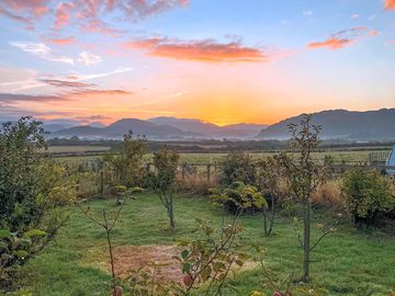Visitor image of The orchard at sunset (added by manager 27 Sep 2022)