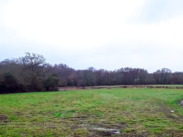 View of the site (added by manager 16 Mar 2023)