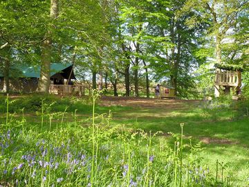 The Camp set in its own 8 acre woodland (added by manager 10 Mar 2015)