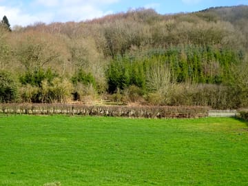 Woodland around the site (added by manager 30 Mar 2023)