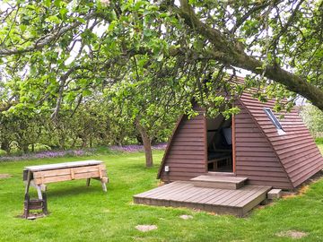 All wigwams have their own picnic bench and firepit