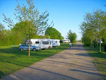 Grass pitches among the trees