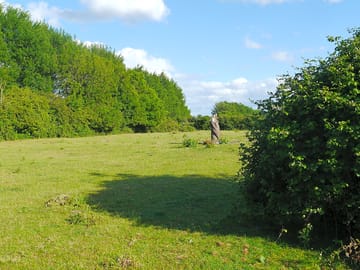 Typical grassy pitch