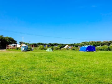 Typical campervan, single-occupancy tent, large tent and standard tent pitches
