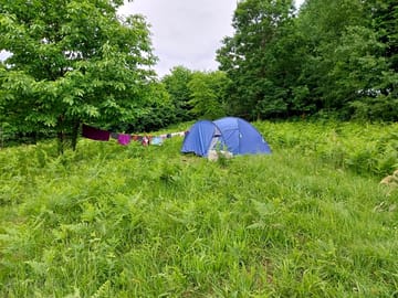 Wild camping in the tall grass