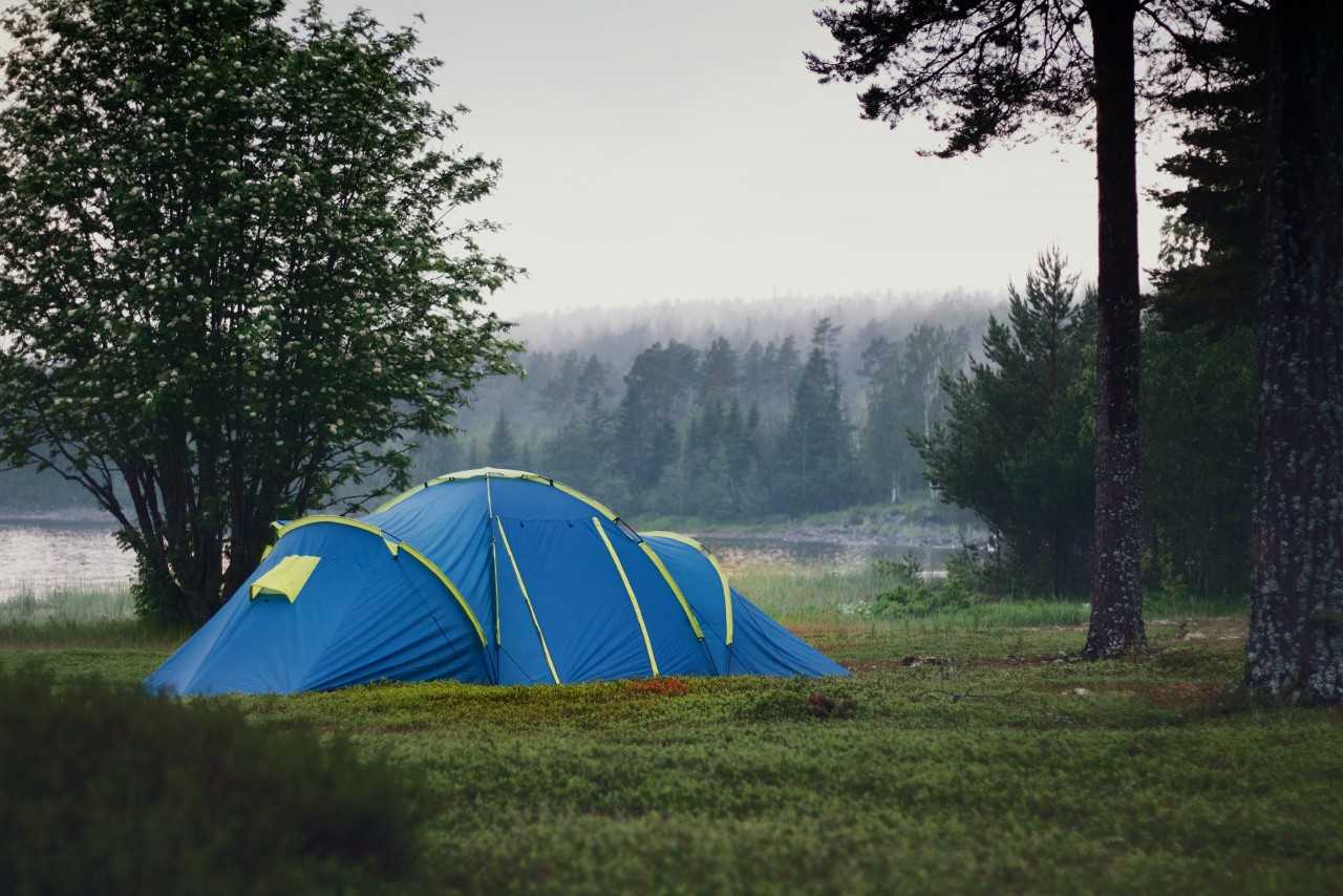 Always make sure to dry your tent completely after a wet camping trip or mould and mildew may form on it (Peyda Hirori / Unsplash)