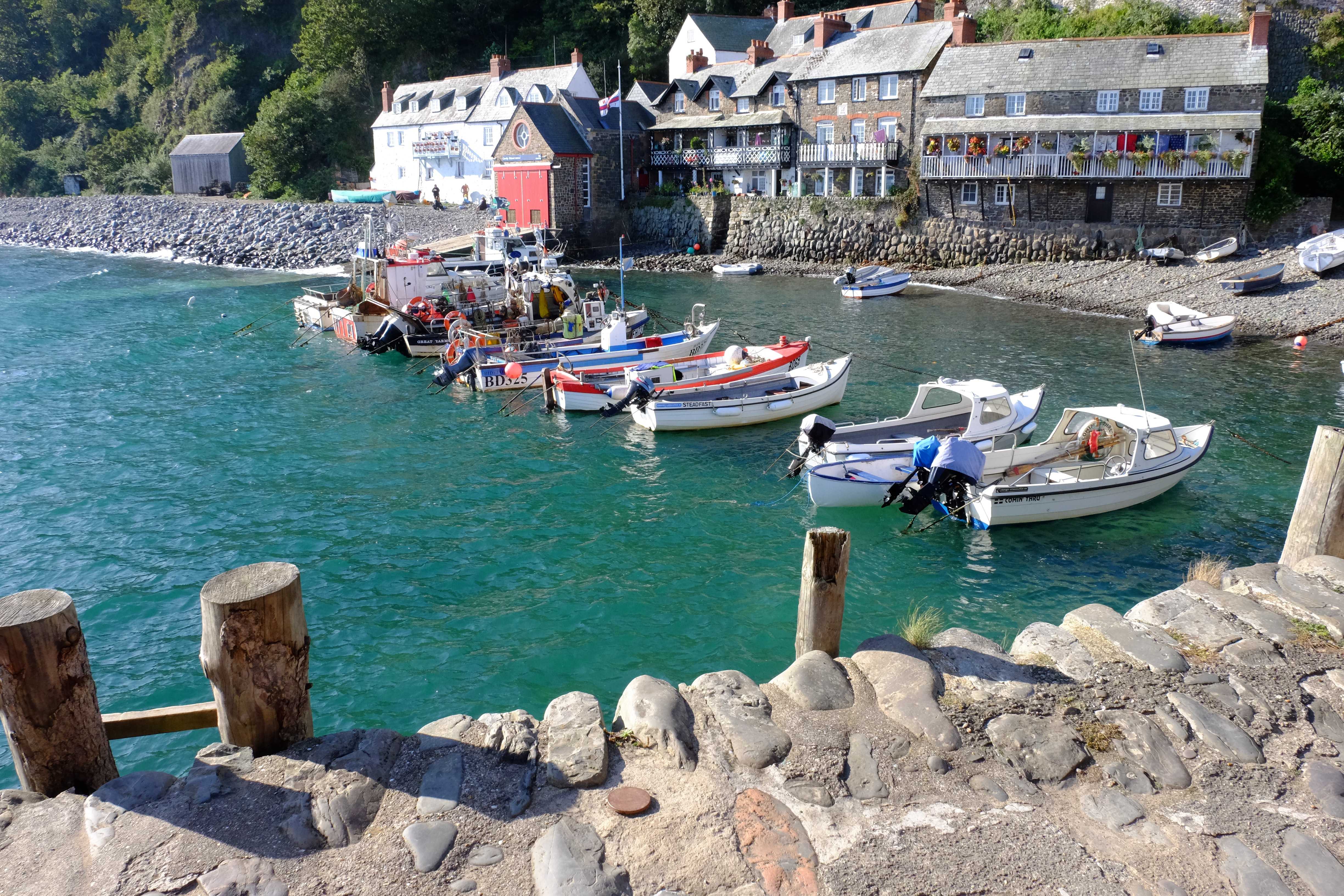 The lovely village of Clovelly is a great place for a day out with your dog (Peter Wilkinson / Unsplash)