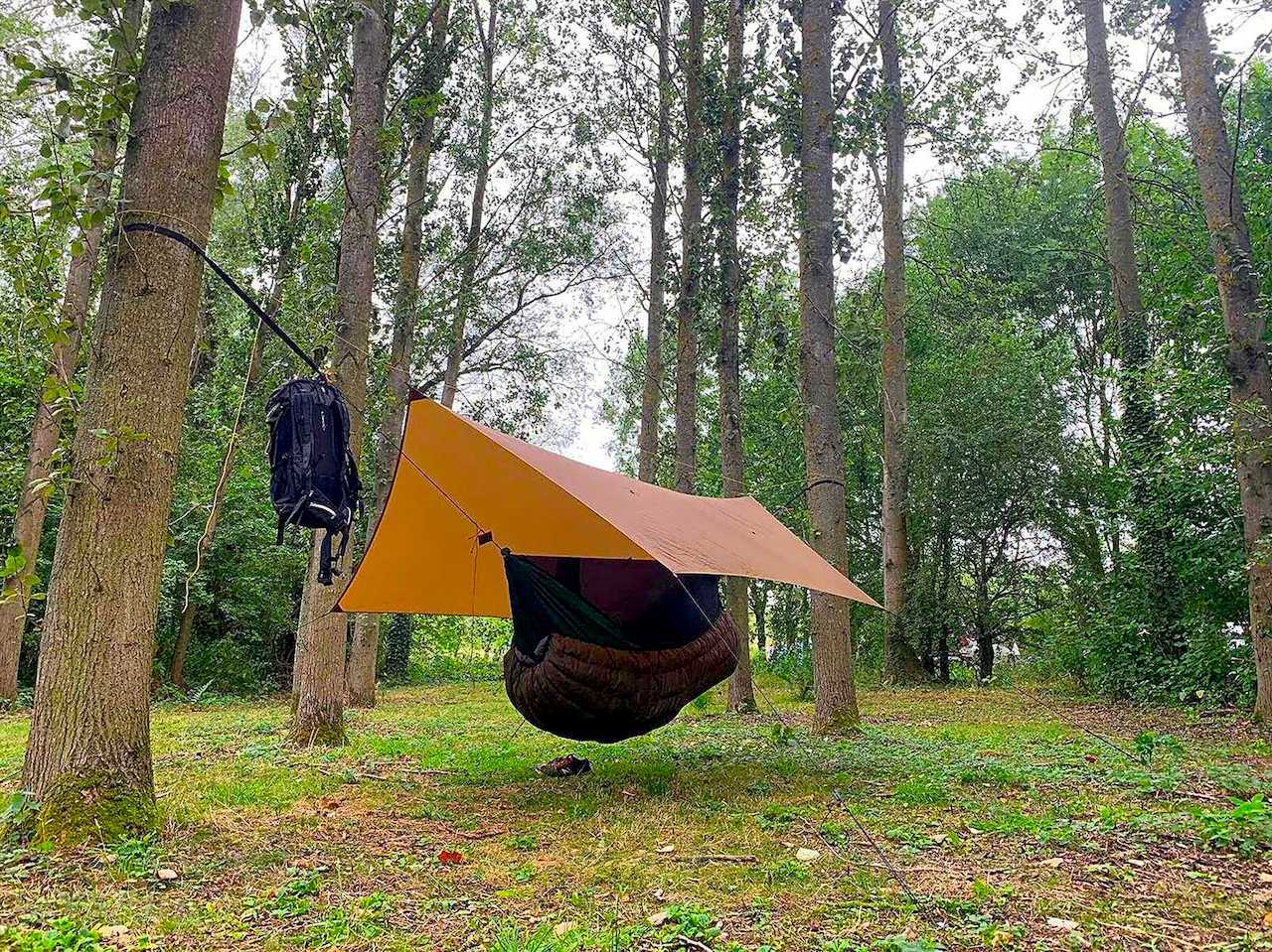 Pitch up among the trees at this campsite in Kent