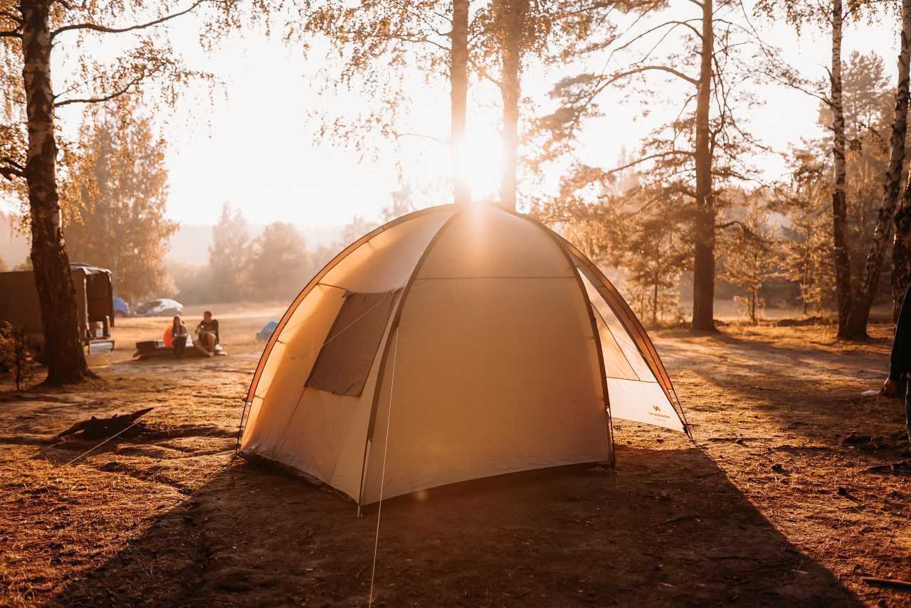 Tent pitched in woodlands (Vlad Shalaginov / Unsplash)