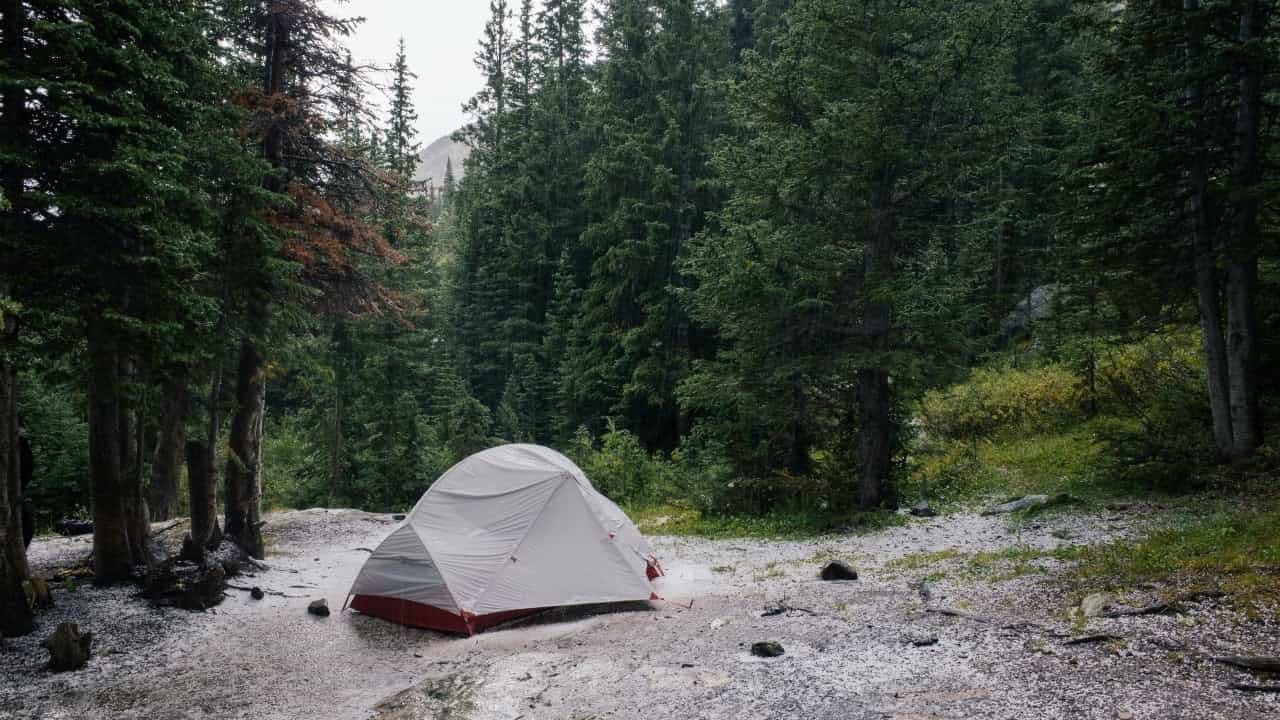 Tent pitched in a wet woodland (Stephen Meszaros / Unsplash)