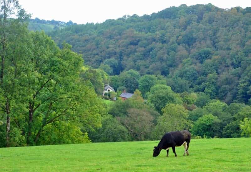 Classic Carmarthenshire countryside (Helen Davies on Pixabay)