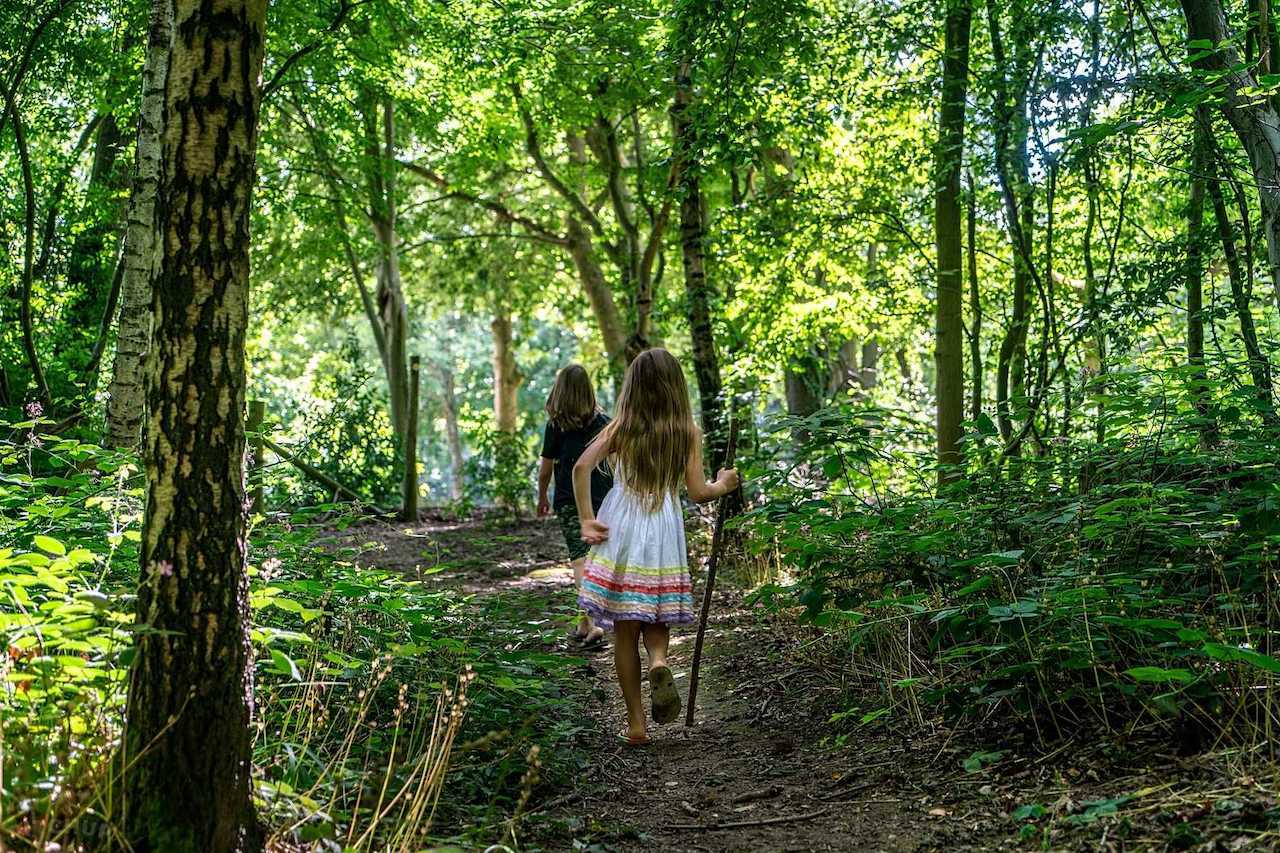 A five-kilometre woodland walk is attached to Oak View Caravan Park