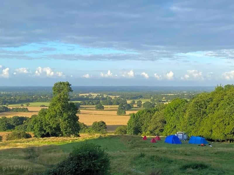 A view of tents with pup tents