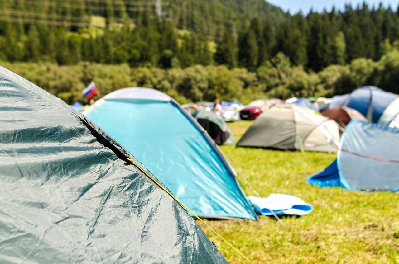 A busy campsite with tent pitches (Lukas / Pexels)