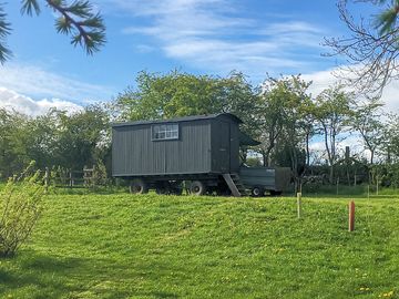 Ruby - shepherds hut in situ (added by manager 09 sep 2022)