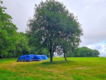 Tents under the trees (added by manager 04 aug 2022)