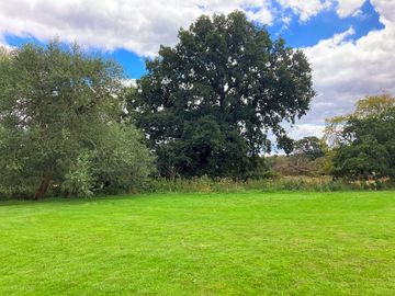 End of riverbank meadow (added by manager 03 aug 2023)