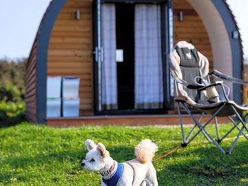 Two of the pods are pet-friendly (added by manager 13 jan 2021)