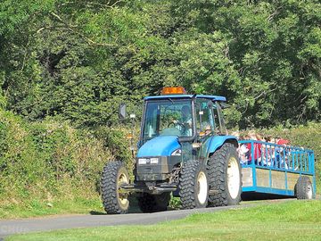 Free tractor rides after the farm walk (added by manager 03 jul 2015)