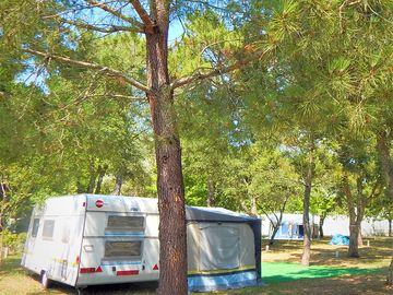 Caravan pitch under the trees (added by manager 17 nov 2022)