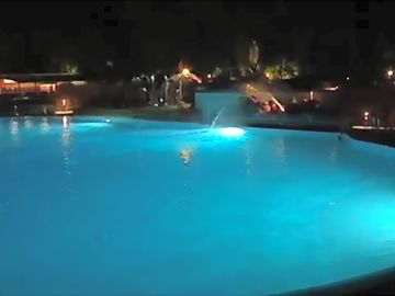 The pool (added by manager 28 jan 2016)