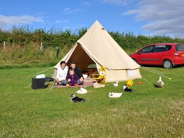 Tent pitches at humble bee (added by manager 21 mar 2024)