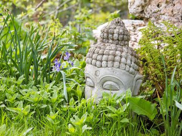 Buddha in the grass (added by manager 26 may 2018)