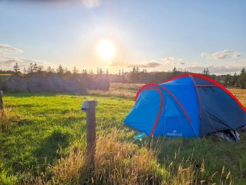 Tent in the field (added by manager 01 aug 2023)