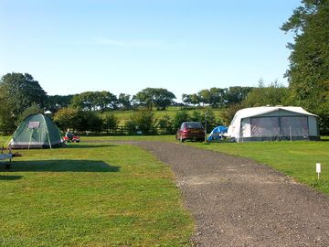 Electric grass tent pitches (added by manager 25 feb 2014)