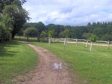 Explore hollybank woods (added by manager 07 mar 2019)