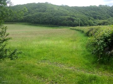 Camp field prior to hay making (added by manager 23 jun 2022)