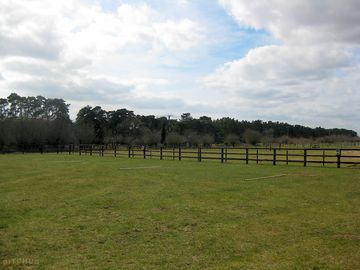 Grass pitch overlooking the horses (added by manager 25 apr 2015)