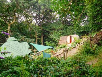 Cabins in the woods (added by manager 23 aug 2022)