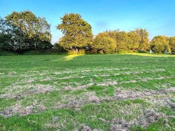 Camping field newly mown (added by manager 15 jul 2021)