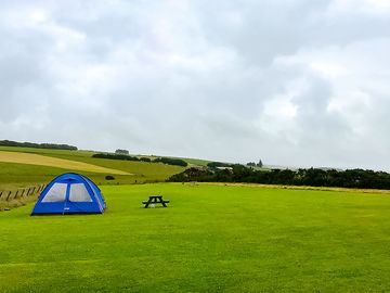 Wee bivvy tents right to roam! (added by manager 25 aug 2022)